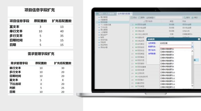 扩充对项目和需求条目字段的数量.jpg